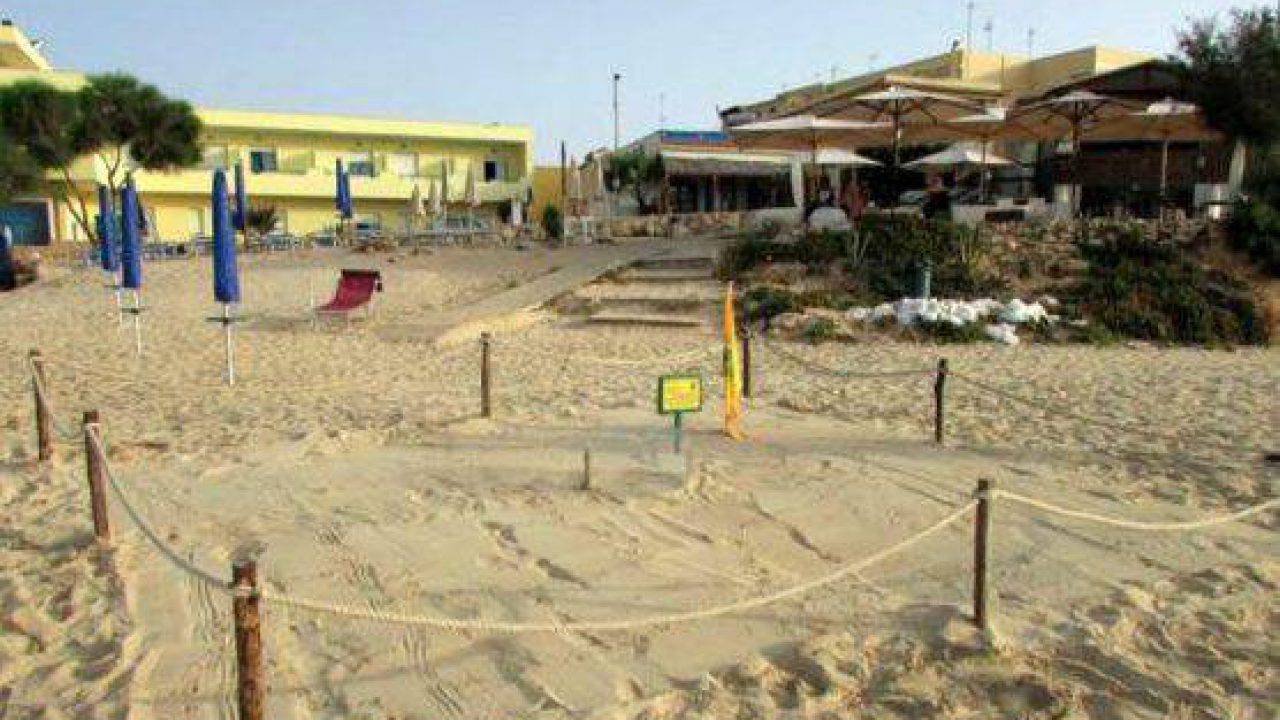 Lisola Dei Conigli La Spiaggia Più Bella Del Mondo