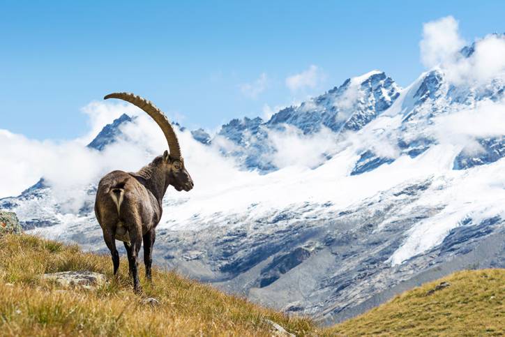 come-arrivare-parco-nazionale-gran-paradiso-valle-aosta