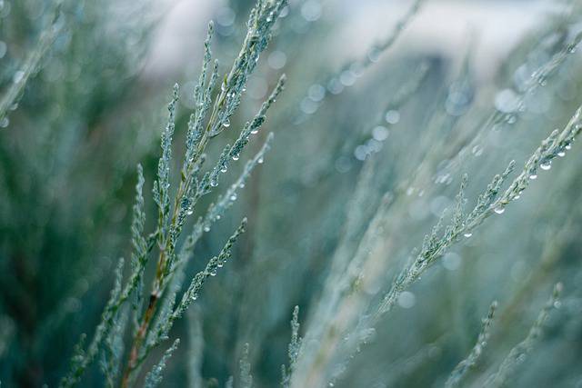 previsionie meteo 19 novembre