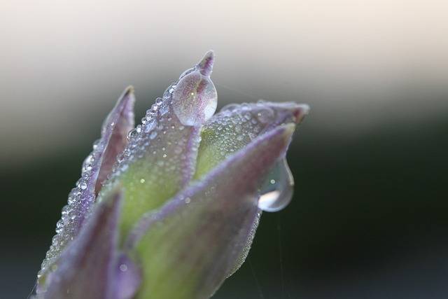 Allerta Meteo Gialla