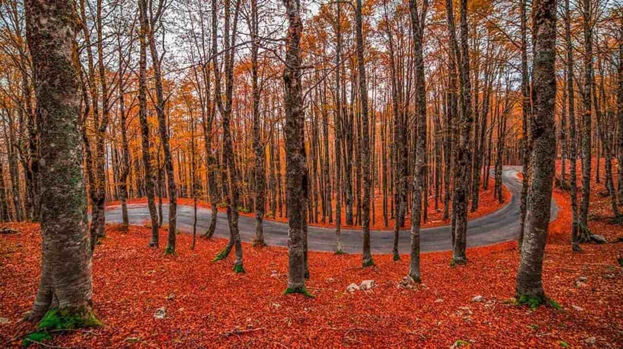 forca d'acero posto vedere autunno