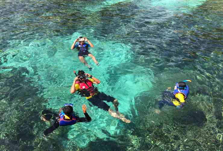 turisti che fanno snorkeling