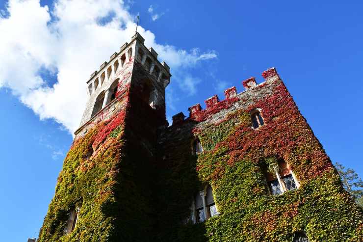 Torre merlata del Castello di Celsa con edera rossa e verde