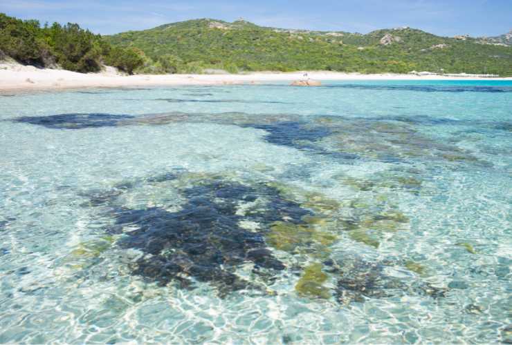 Liscia Ruja tra le spiagge più belle della Costa Smeralda