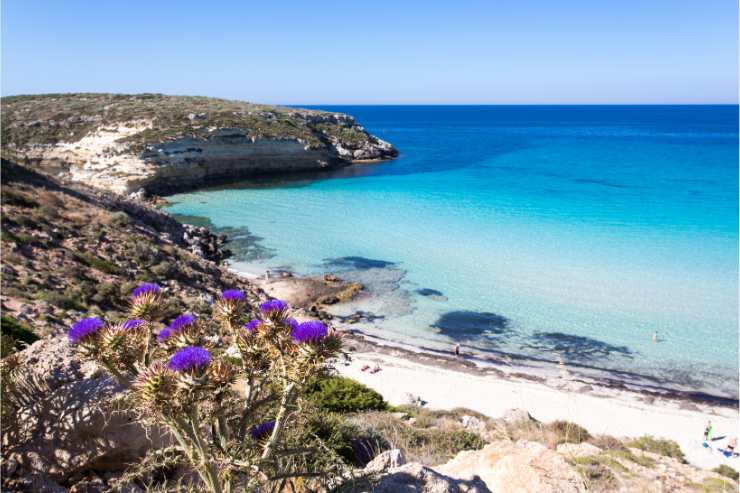 Spiaggia dei Conigli Lampedusa 