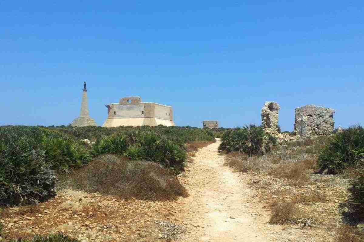 faro vegetazione rudere