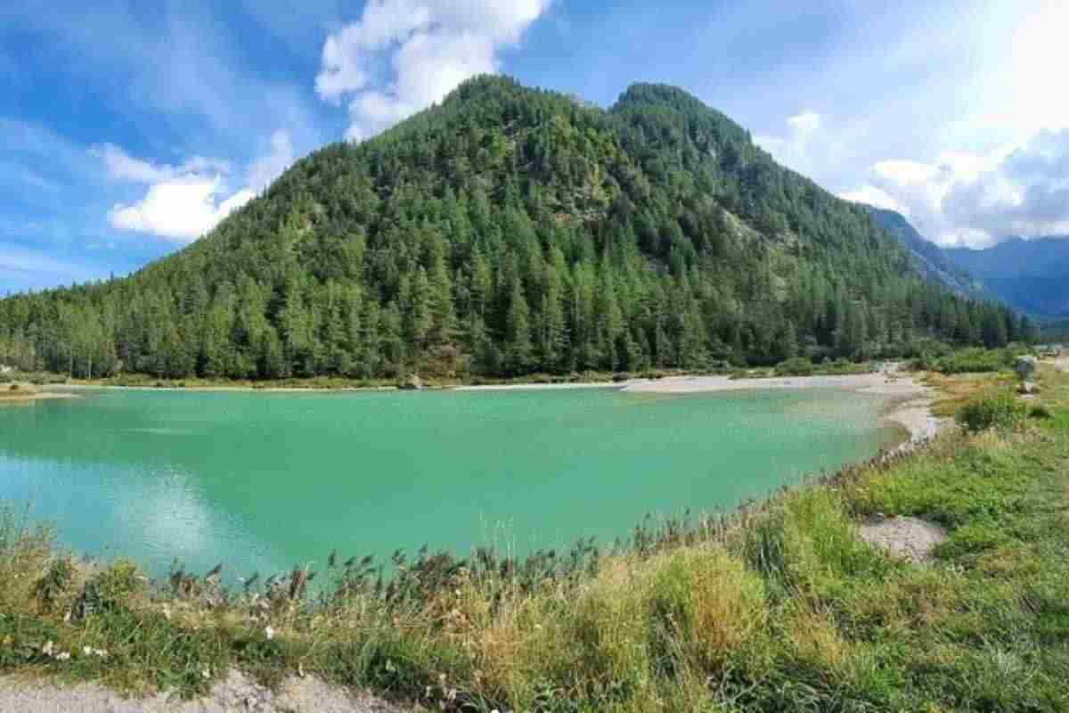 lago vegetazione montagna