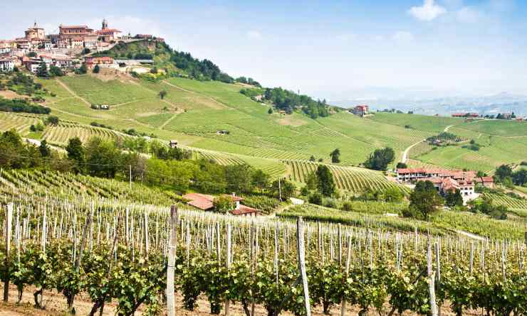 barolo piemonte