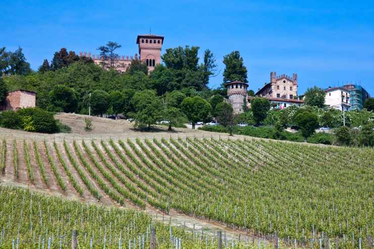 Monferrato itinerari settembre