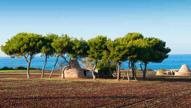 Puglia, bella tutto l'anno