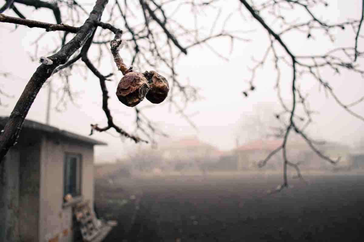 Il turismo dei borghi fantasma