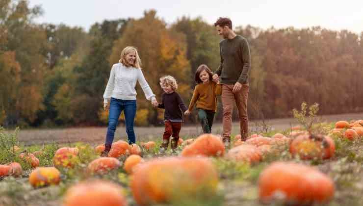 campi di zucche famiglia