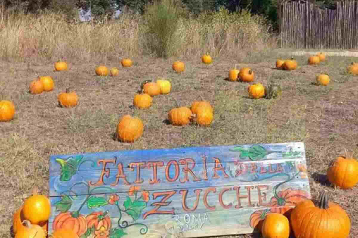  Fattoria delle Zucche, la nuova attrazione di Roma World