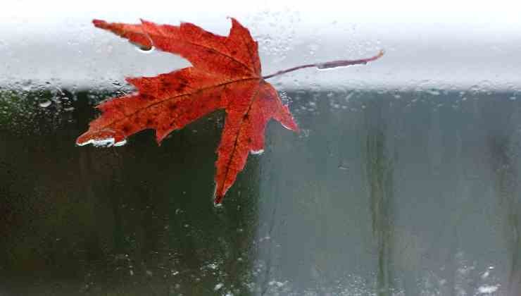 meteo miglioramenti in giornata 