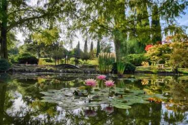 Parco Sigurtà Giornata dei Bambini