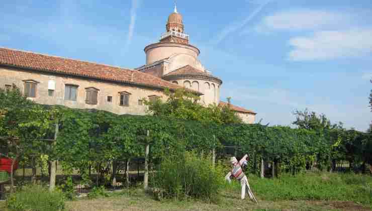 vigne urbane dove sono 