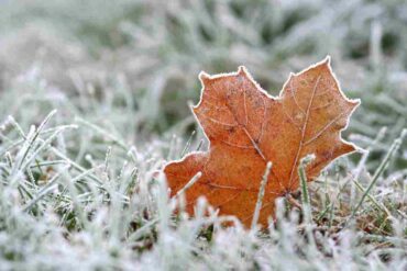 meteo freddo russia novembre