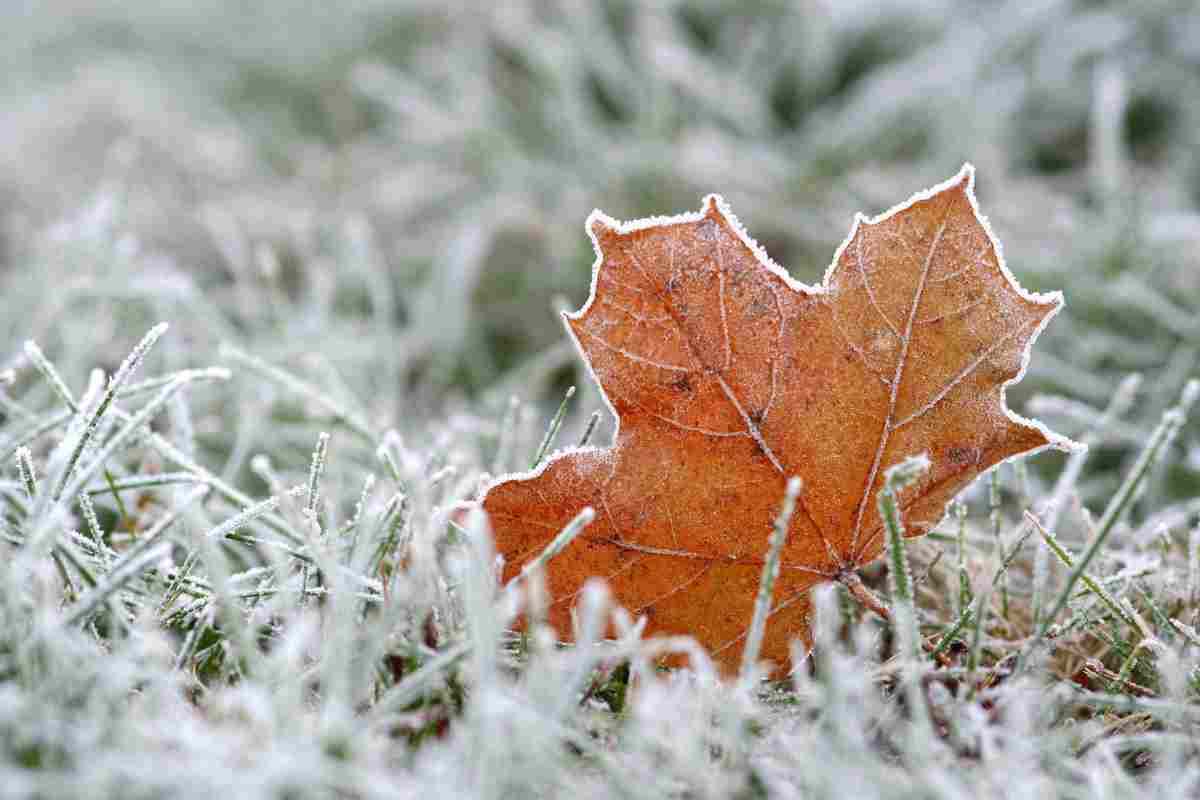 meteo freddo russia novembre 