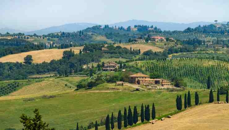 Brunello di Montalcino Il Marroneto Madonna delle Grazie 