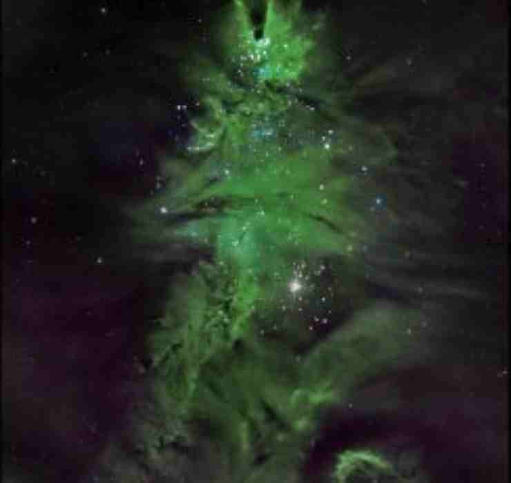 Ngc 602 albero di natale