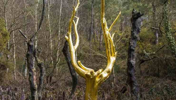 L'albero d'oro nella Valle senza Ritorno