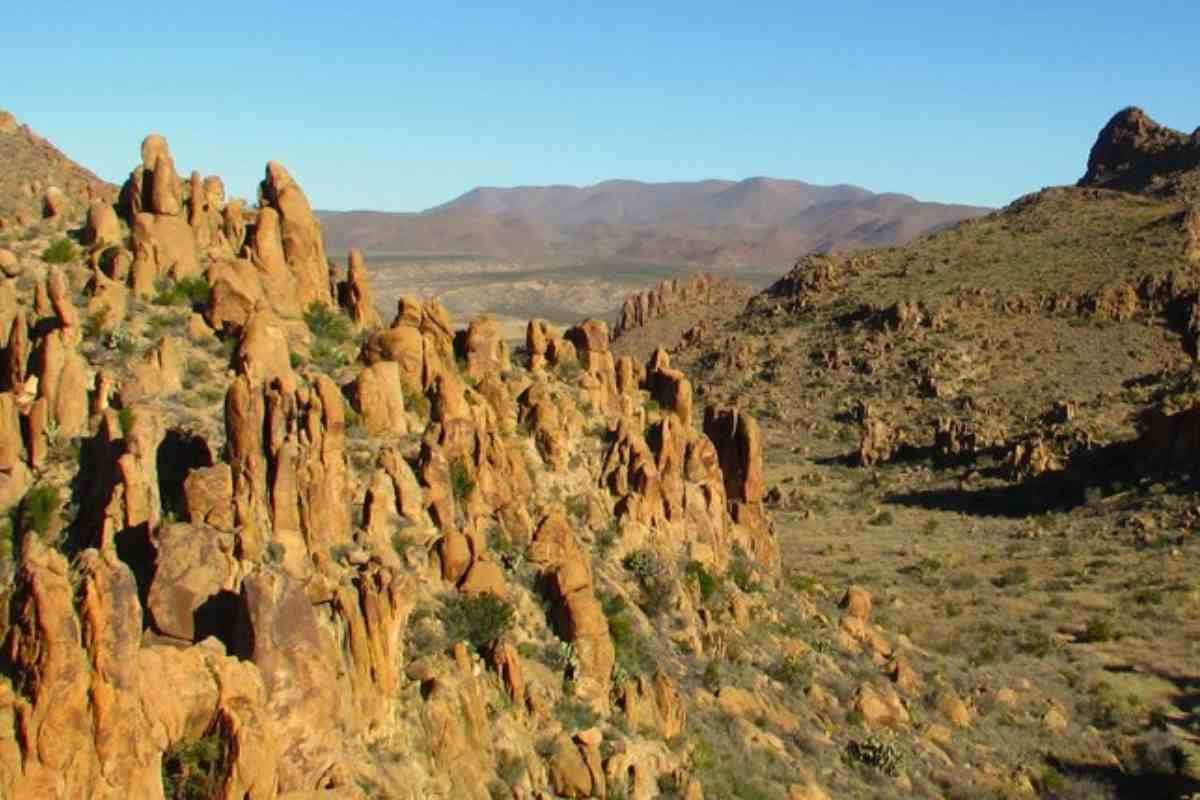 Big Bend National Park