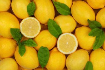 varietà limoni in italia