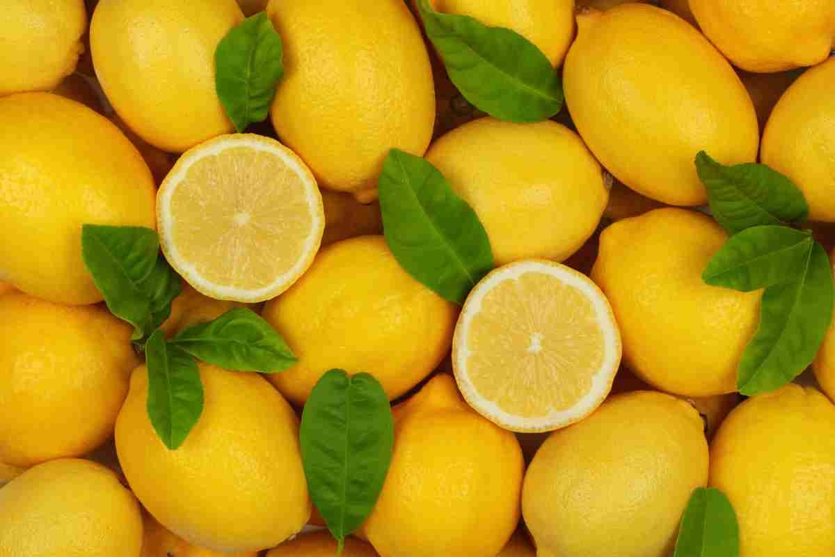 varietà limoni in italia 