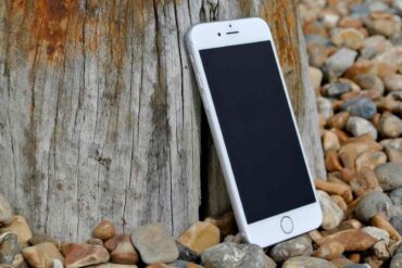 cellulare appoggiato al tronco di un albero